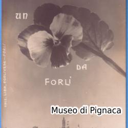 1917 vg - Un "FIORE" da Forlì - panorama di Forlì con omaggio floreale destinato ad innamorata