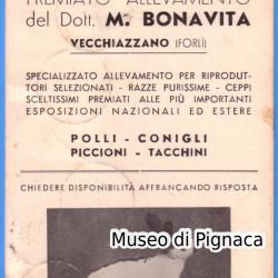1937 vg - Premiato Allevamento Dott BONAVITA (Vecchiazzano - Forlì)