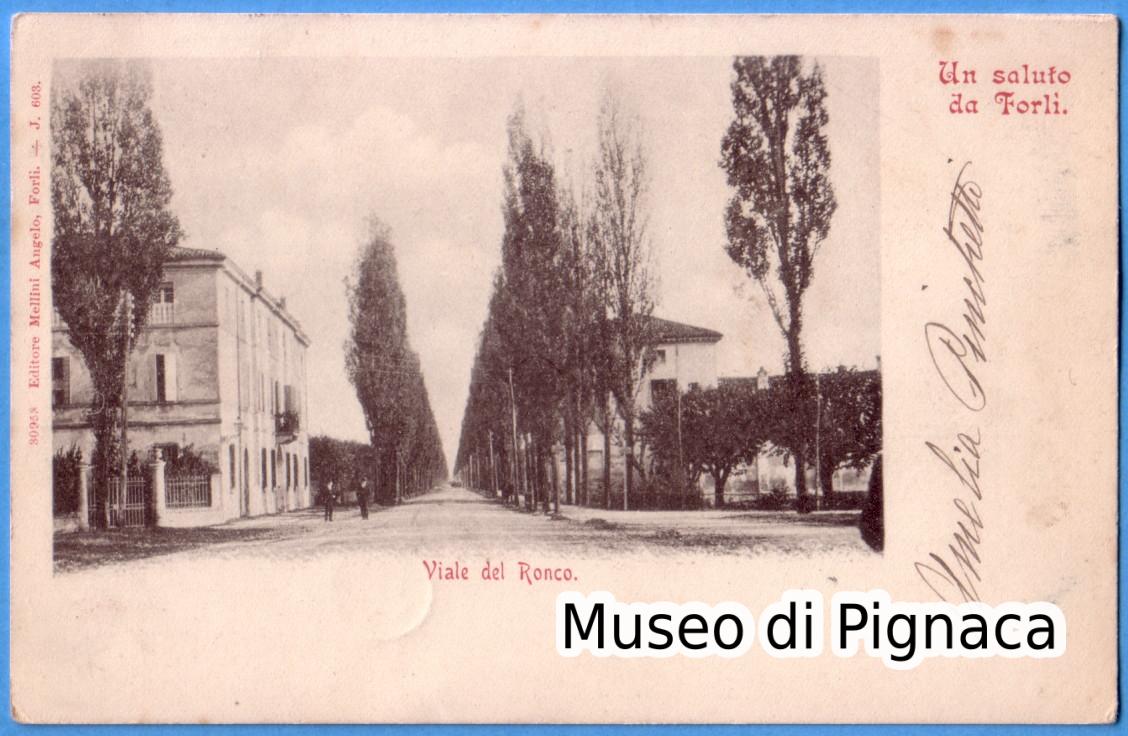 1901 vg - Un Saluto da Forlì - Viale del Ronco (editore Angelo Mellini)