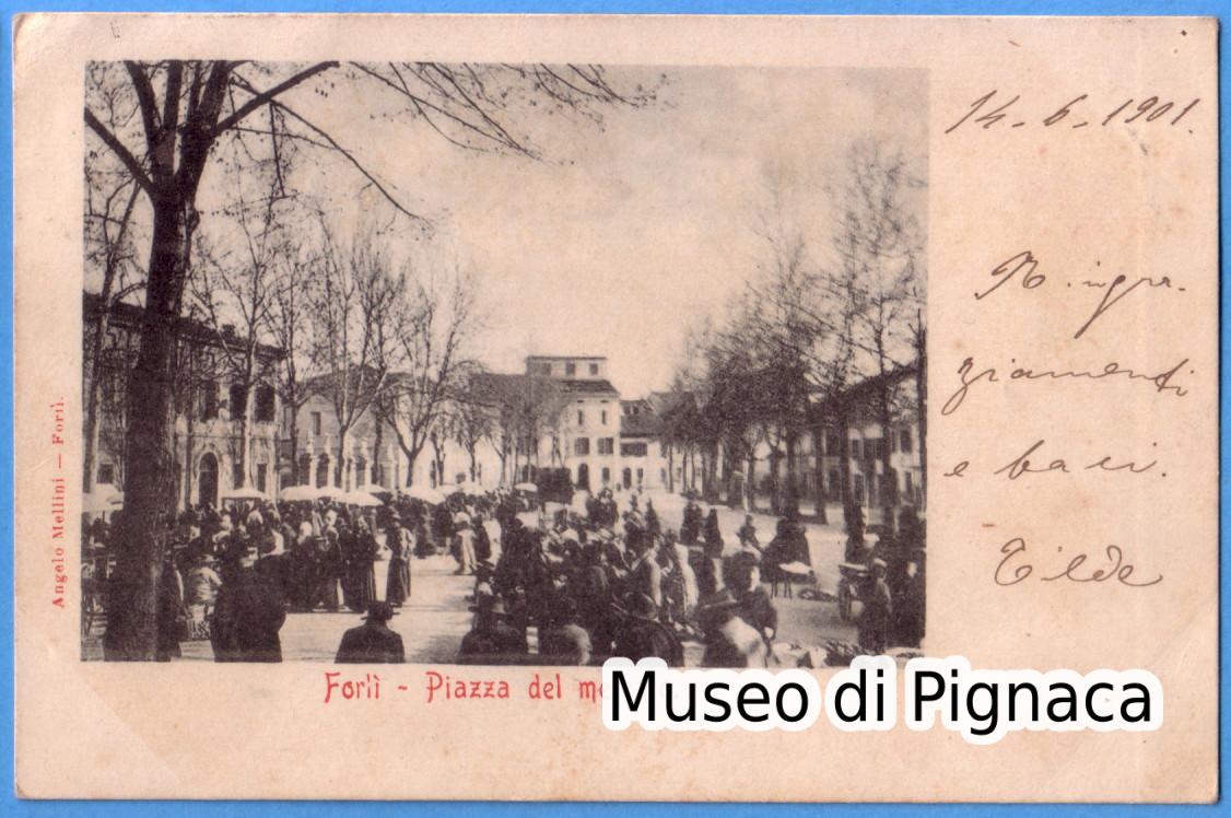1901 vg - Forlì - Piazza del Mercato (Piazza Garibaldi)
